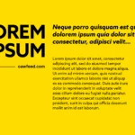 lorem ipsum oawfeed